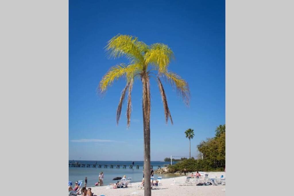 Sea Breeze, Studio 510, Beach Steps Away!+Pool+Wifi Ruskin Esterno foto