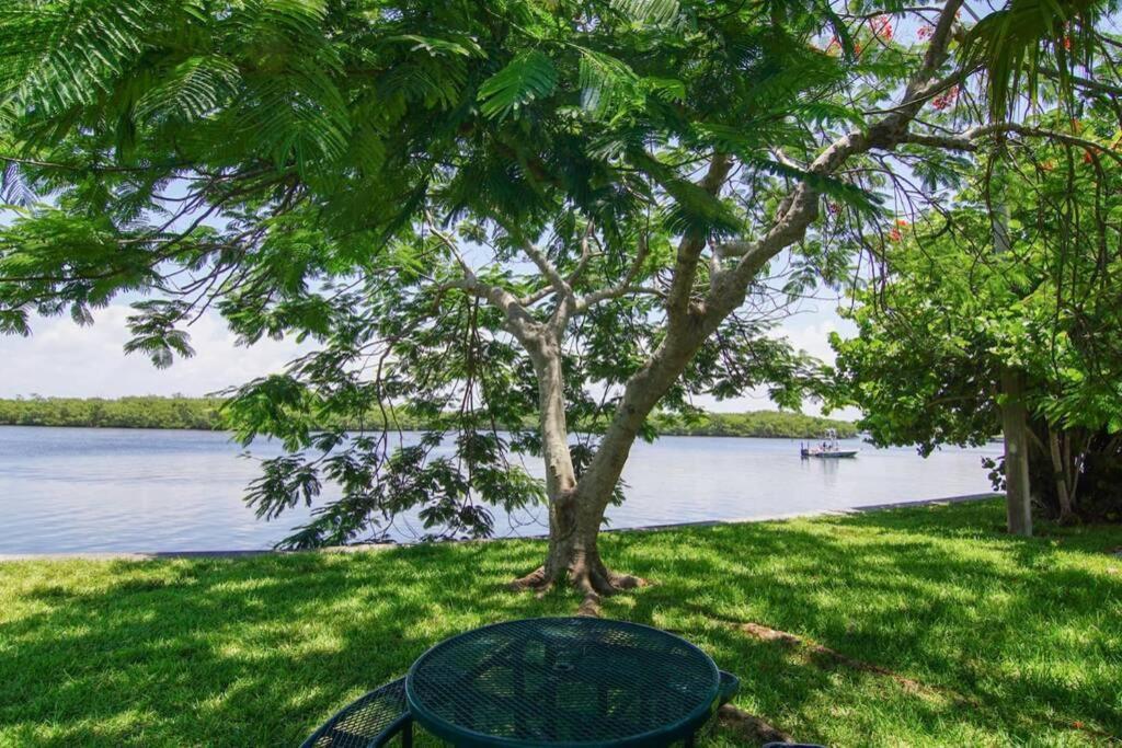 Sea Breeze, Studio 510, Beach Steps Away!+Pool+Wifi Ruskin Esterno foto